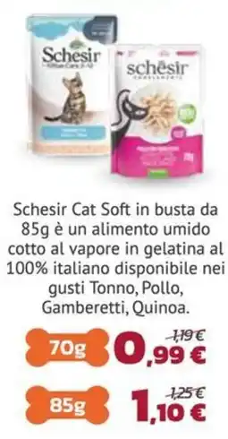 Joe Zampetti Schesir Cat Soft offerta