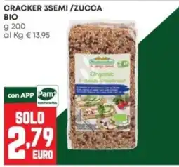 Panorama Cracker 3semi/Zucca Bio offerta