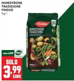 Panorama Minestrone tradizione Findus offerta