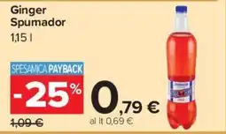 Carrefour Market Ginger Spumador offerta