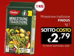 Maxi Supermercati Minestrone tradizione Findus offerta