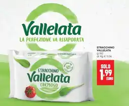 Panorama Stracchino Vallelata cremoso offerta