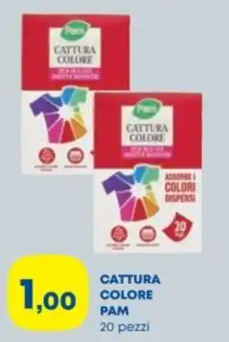 Panorama TiBi Cattura colore Pam offerta