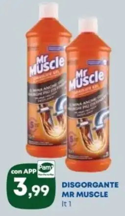 Panorama TiBi Disgorgante Mr Muscle offerta