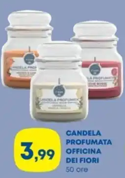 Panorama TiBi Candela profumata Officina dei Fiori offerta