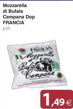 Docks Cash&Carry Mozzarella di Bufala Campana Dop offerta