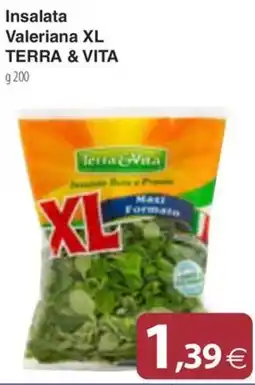 Docks Cash&Carry Insalata Valeriana XL Terra & Vita offerta