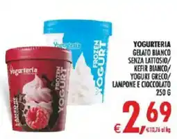 Deco Iperstore Yogurteria Frozen Yogurt Lampone e Cioccolato offerta