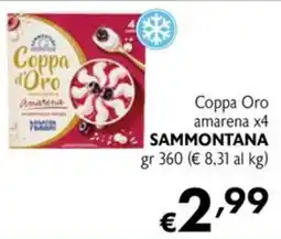 Maxi Supermercati Coppa Oro amarena Sammontana offerta