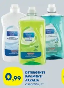 Panorama TiBi Detergente pavimenti Arkalia assortito offerta