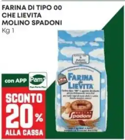 Panorama Farina di lievita Molino Spadoni offerta