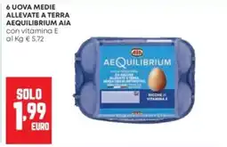 Panorama Uova medie allevate a terra Aequilibrium AIA offerta