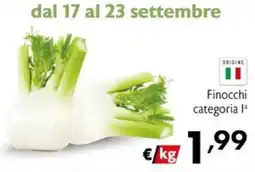 Maxi Supermercati Finocchi categoria Iª offerta