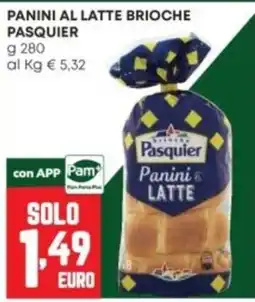 Panorama Panini al latte Pasquier offerta