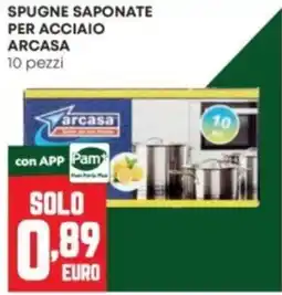 Panorama Spugne saponate per acciaio Arcasa offerta