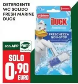 Panorama Detergente wc solido fresh marine duck offerta