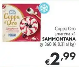 SuperW Coppa Oro amarena Sammontana offerta