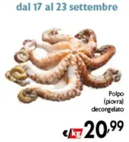 Spak Supermercati Polpo (piovra) decongelato offerta