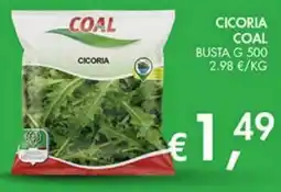Superstore Coal Cicoria Coal offerta