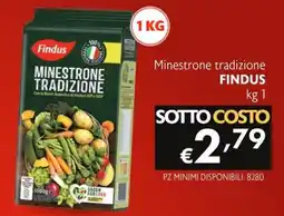 SuperW Minestrone tradizione Findus offerta