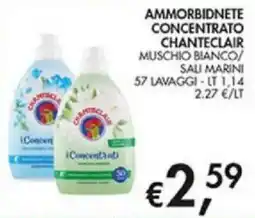 Superstore Coal Ammorbidente concentrato Chanteclair offerta