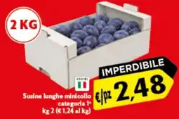 Spak Supermercati Susine lunghe minicollo offerta