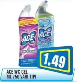 Punto Vigas Ace wc gel offerta
