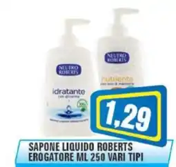 Punto Vigas Sapone liquido Roberts offerta
