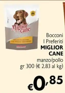 Maxi Family Bocconi I Preferiti Miglior Cane offerta
