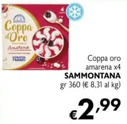 Maxi Family Coppa oro amarena Sammontana offerta