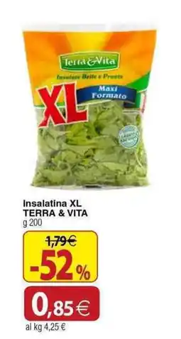Docks Cash&Carry Insalatina XL TERRA & VITA offerta