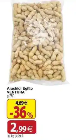Docks Cash&Carry Arachidi Egitto Ventura offerta