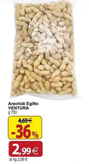 Arachidi Egitto Ventura