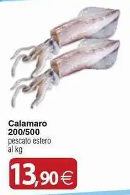 Docks Cash&Carry Calamaro offerta