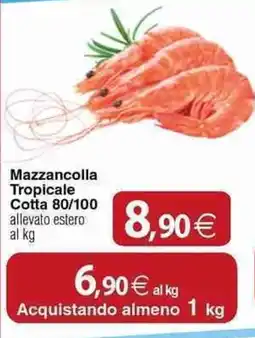 Docks Cash&Carry Mazzancolla Tropicale Cotta offerta