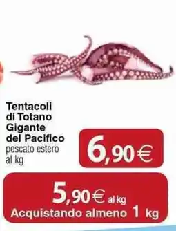 Docks Cash&Carry Tentacoli di Totano Gigante del Pacifico offerta