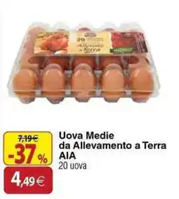 Docks Cash&Carry Uova Medie da Allevamento a Terra AIA offerta