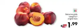 Eurospesa Nettarine gialle categoria Ia origine Italia offerta