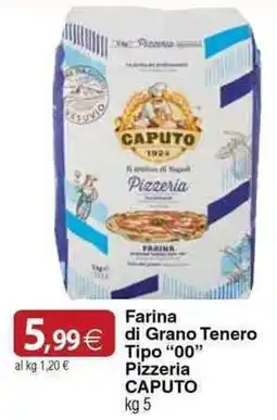 Docks Cash&Carry Farina di Grano Tenero Tipo "00" Pizzeria Caputo offerta