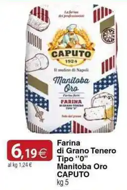Docks Cash&Carry Farina di Grano Tenero Tipo "0" Manitoba Oro CAPUTO offerta