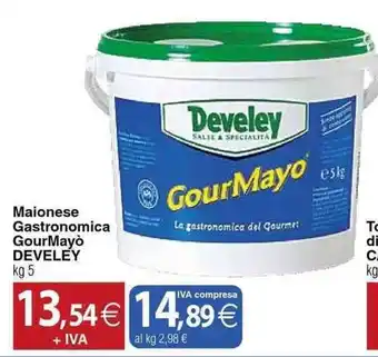 Docks Cash&Carry Maionese Gastronomica GourMayò Develey offerta