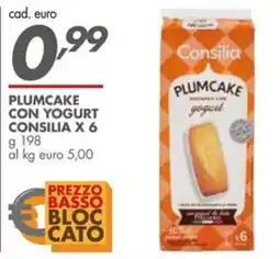 Italmark Plumcake con yogurt Consilia offerta