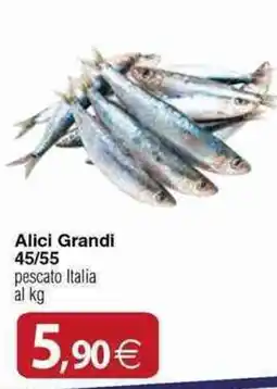 Docks Cash&Carry Alici Grandi offerta
