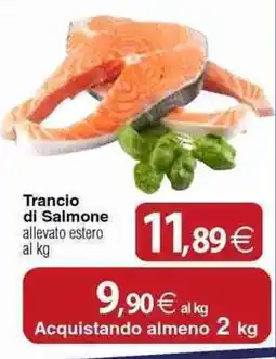 Docks Cash&Carry Trancio di Salmone allevato estero offerta