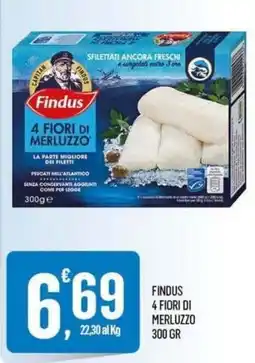 Vibian Findus 4 Fiori di Merluzzo offerta
