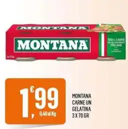 Vibian Montana carne un gelatina offerta