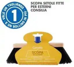 Italmark Scopa setole fitte per esterni Consilia offerta