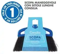 Italmark Scopa maneggevole Consilia offerta