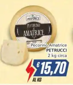 Italy Cash Pecorino Amatrice Petrucci offerta
