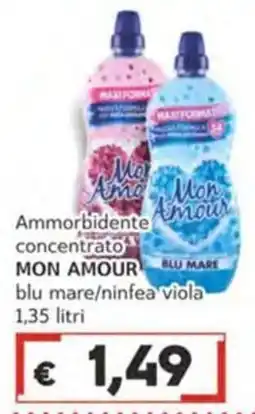 Italy Cash Ammorbidente concentrato Mon Amour offerta